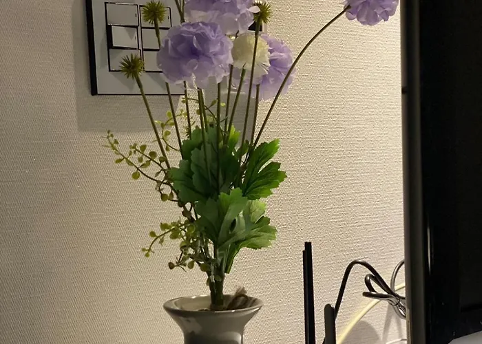 교통이 편리한 아늑하고 넓은 원룸 하우스 아파트 *
